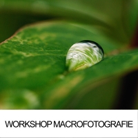 Workshop Macrofotografie
